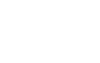 Torani logo